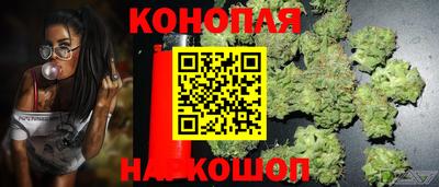 ALPHA-PVP Кизилюрт